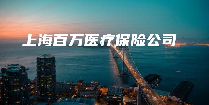上海百万医疗保险公司-保点通