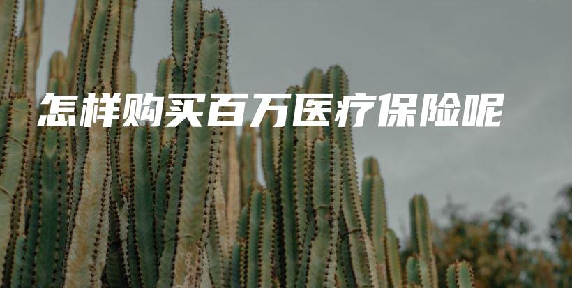 怎样购买百万医疗保险呢-保点通