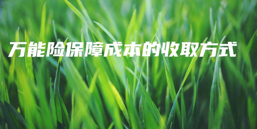 万能险保障成本的收取方式-保点通