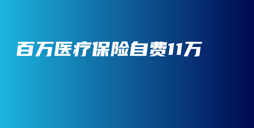 百万医疗保险自费11万-保点通