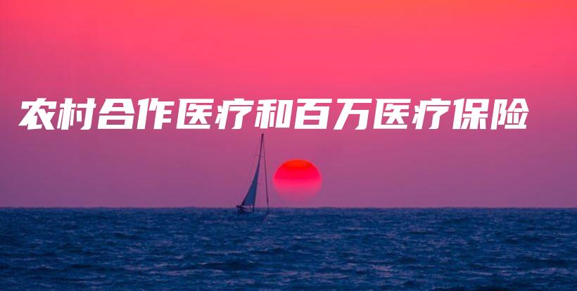 农村合作医疗和百万医疗保险-保点通
