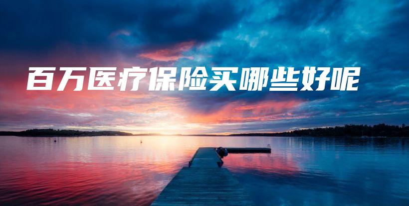 百万医疗保险买哪些好呢-保点通