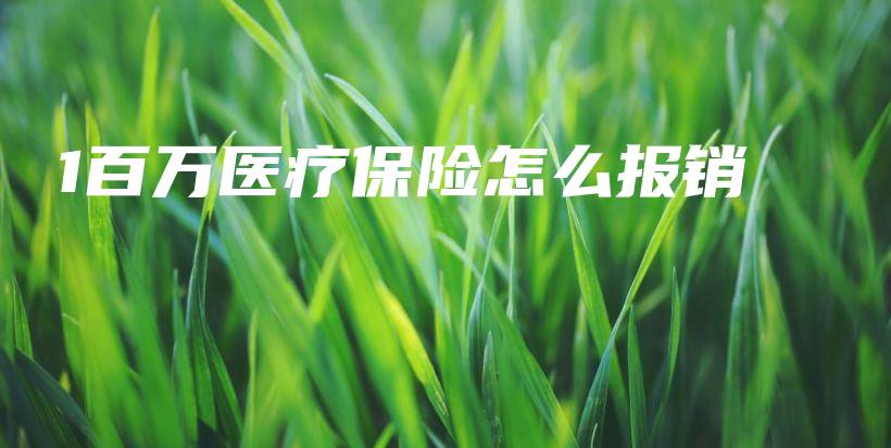 1百万医疗保险怎么报销-保点通