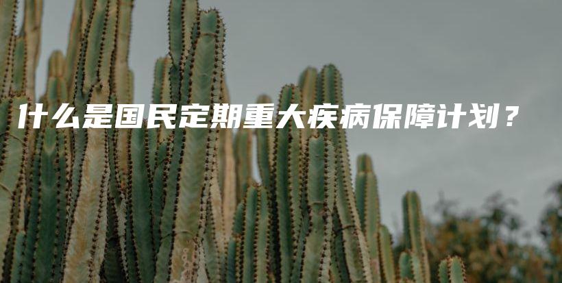 什么是国民定期重大疾病保障计划？-保点通