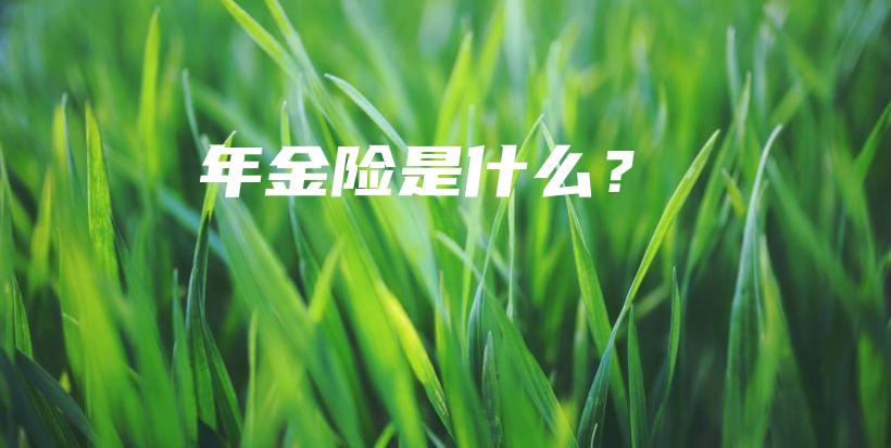 年金险是什么？-保点通