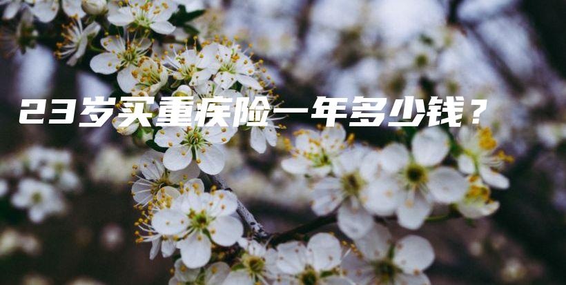 23岁买重疾险一年多少钱？-保点通