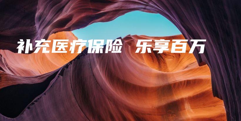 补充医疗保险 乐享百万-保点通