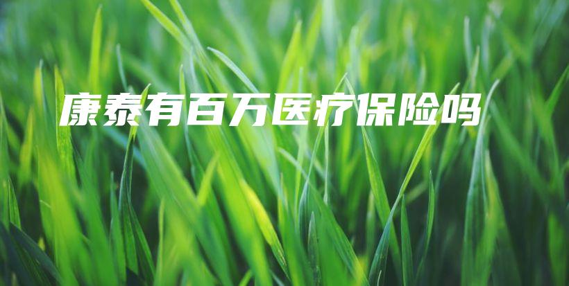 康泰有百万医疗保险吗-保点通