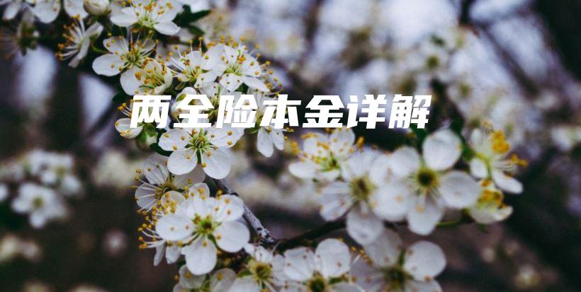 两全险本金详解-保点通