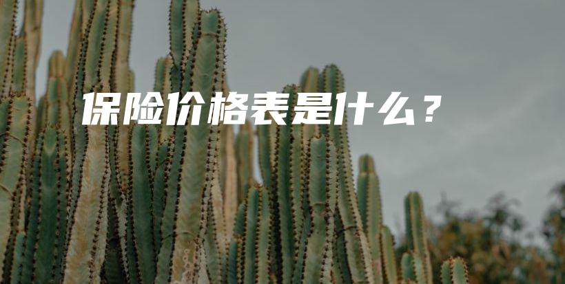 保险价格表是什么？-保点通