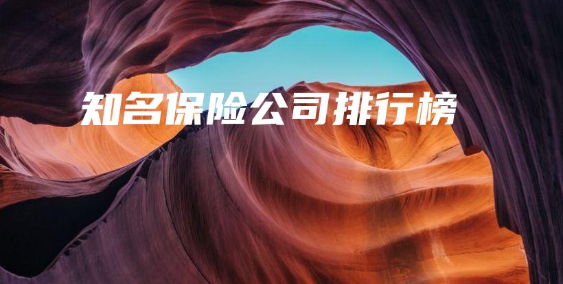 知名保险公司排行榜-保点通