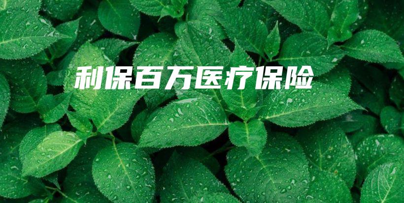 利保百万医疗保险-保点通