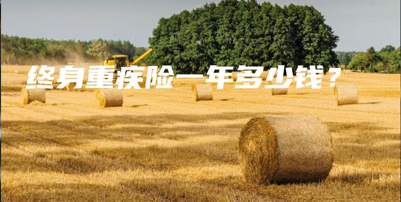 终身重疾险一年多少钱？-保点通