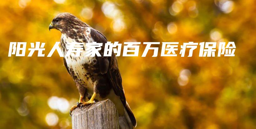 阳光人寿家的百万医疗保险-保点通