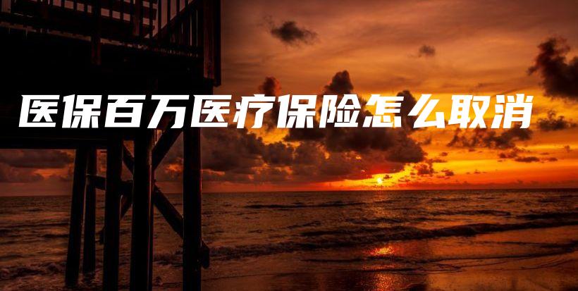 医保百万医疗保险怎么取消-保点通