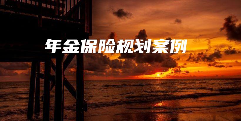 年金保险规划案例-保点通