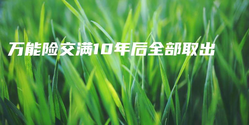 万能险交满10年后全部取出-保点通