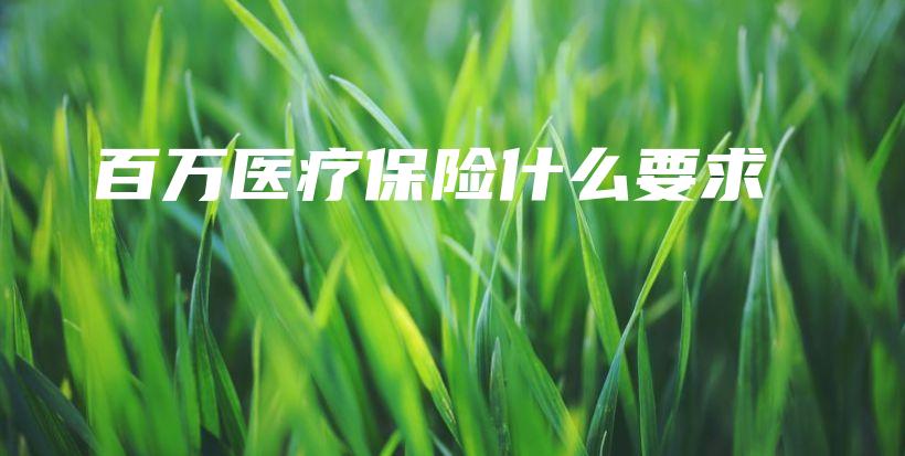 百万医疗保险什么要求-保点通