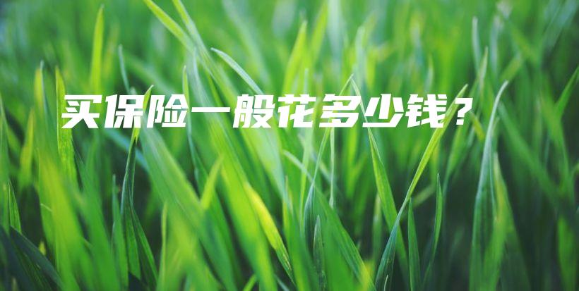 买保险一般花多少钱？-保点通