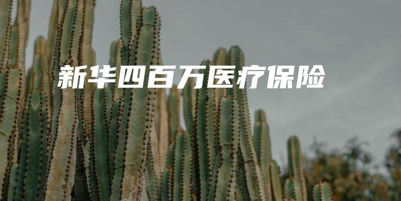 新华四百万医疗保险-保点通