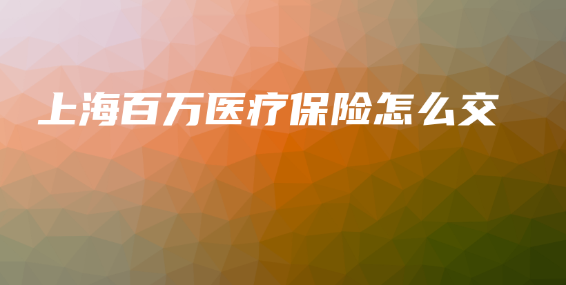 上海百万医疗保险怎么交-保点通