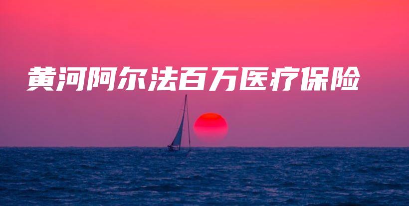 黄河阿尔法百万医疗保险-保点通