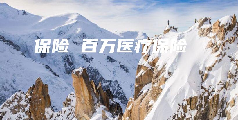 保险 百万医疗保险-保点通
