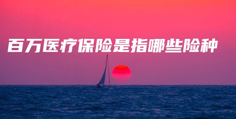 百万医疗保险是指哪些险种-保点通