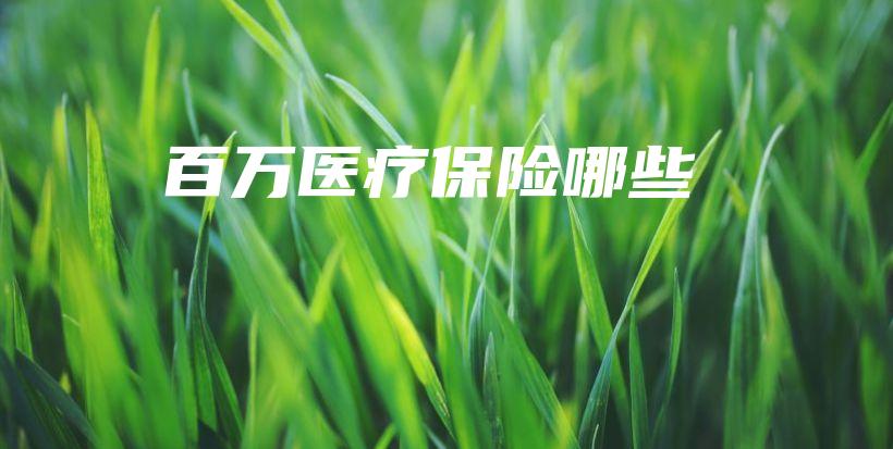 百万医疗保险哪些-保点通