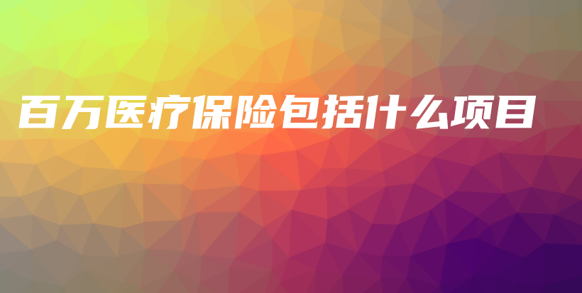 百万医疗保险包括什么项目-保点通