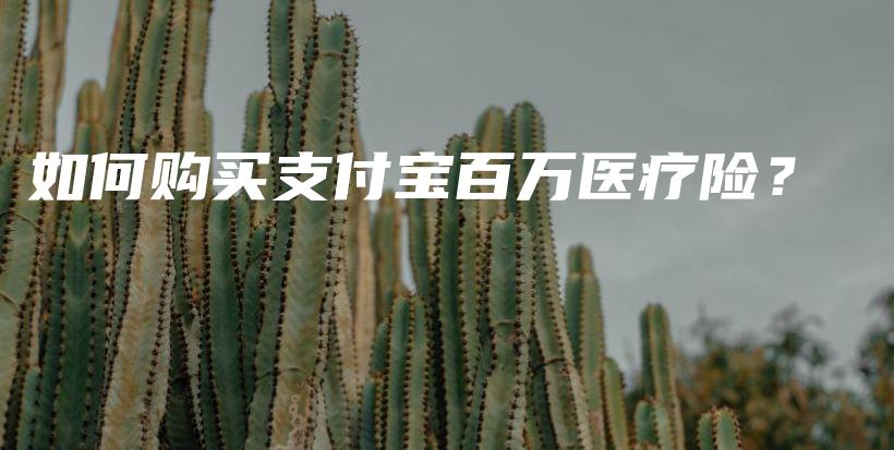 如何购买支付宝百万医疗险？-保点通