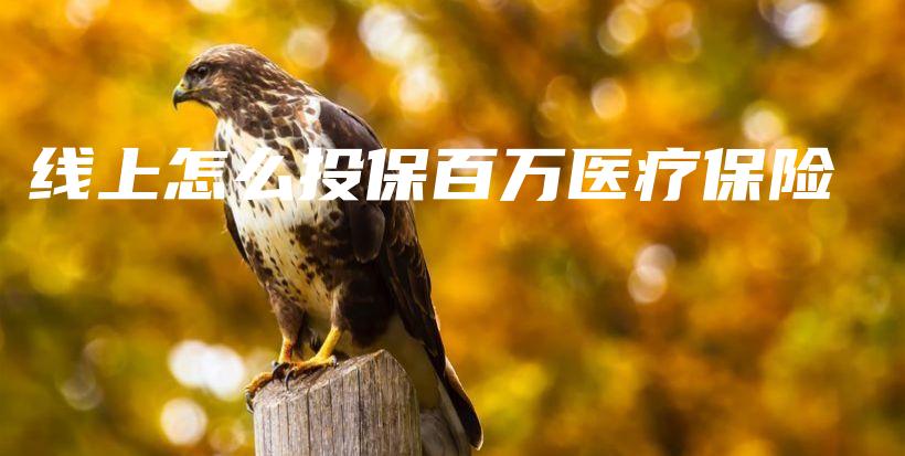 线上怎么投保百万医疗保险-保点通