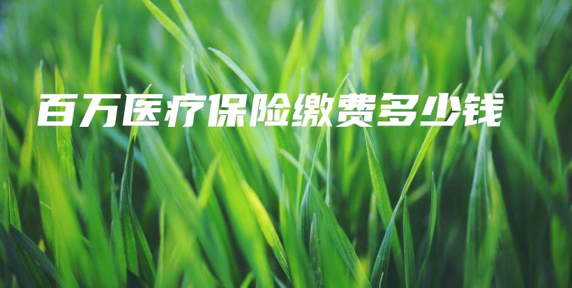 百万医疗保险缴费多少钱-保点通