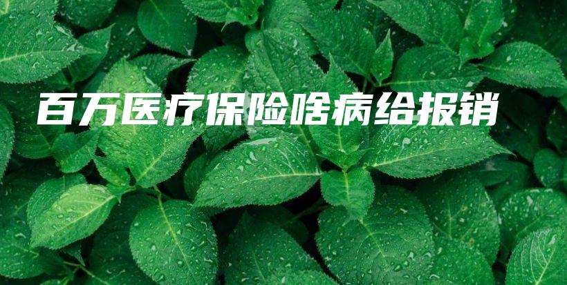 百万医疗保险啥病给报销-保点通