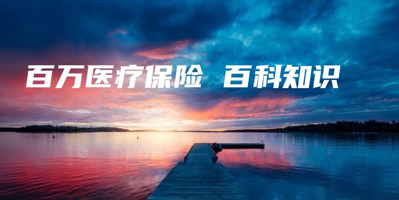 百万医疗保险 百科知识-保点通