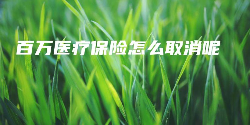 百万医疗保险怎么取消呢-保点通