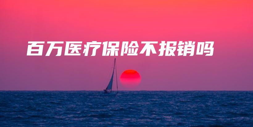 百万医疗保险不报销吗-保点通