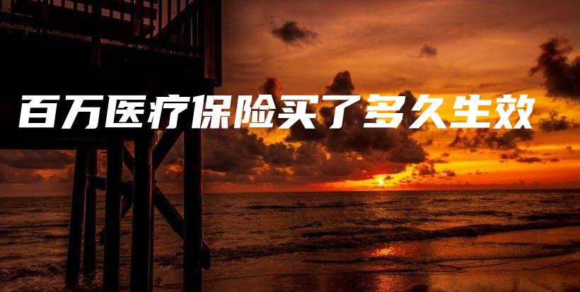 百万医疗保险买了多久生效-保点通