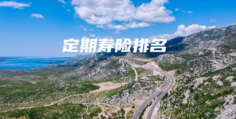 定期寿险排名-保点通