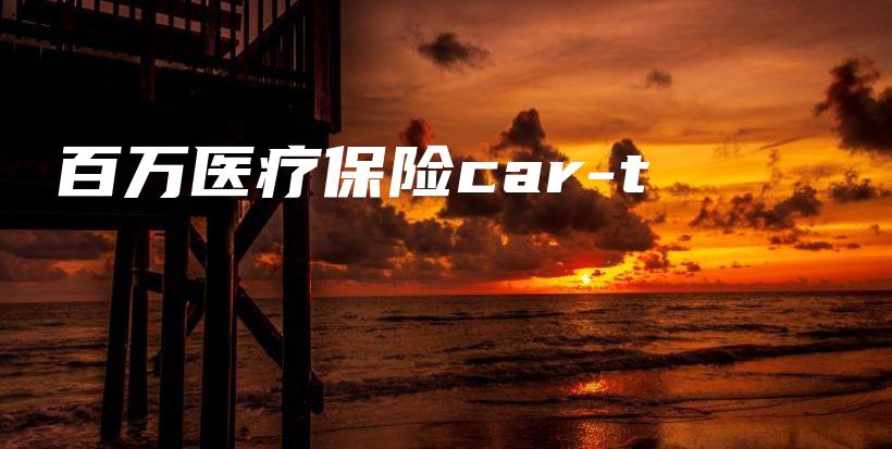 百万医疗保险car-t-保点通