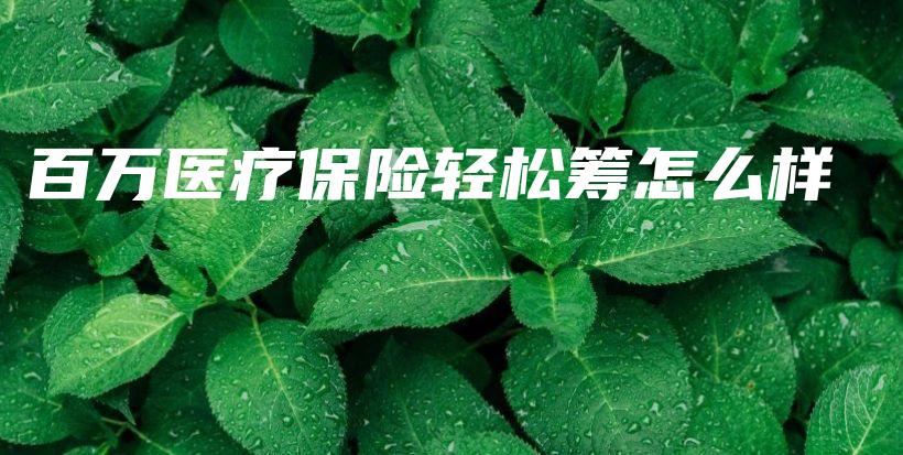 百万医疗保险轻松筹怎么样-保点通