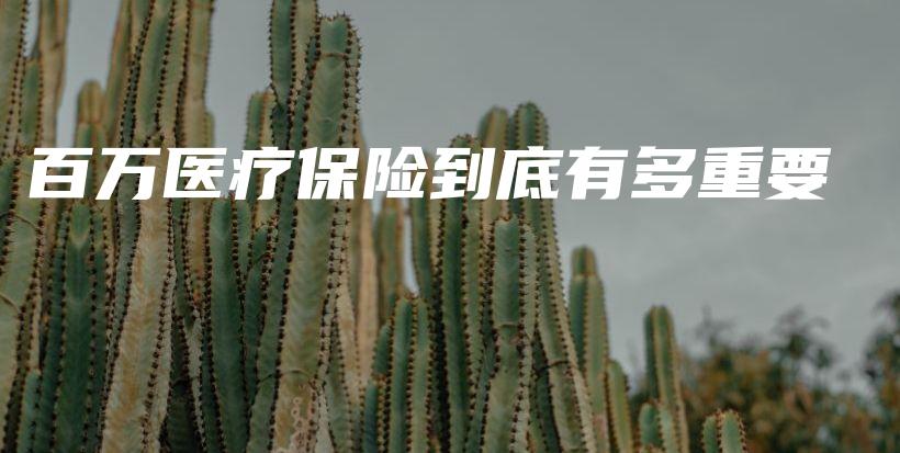 百万医疗保险到底有多重要-保点通