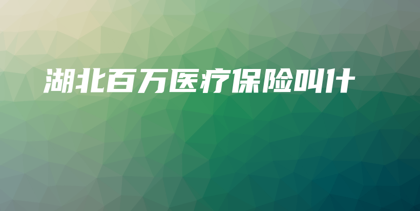 湖北百万医疗保险叫什-保点通
