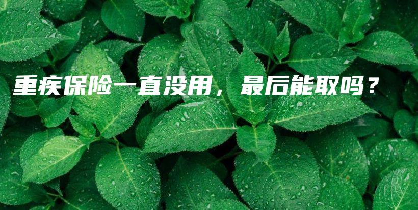 重疾保险一直没用，最后能取吗？-保点通