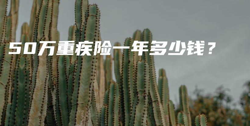 50万重疾险一年多少钱？-保点通