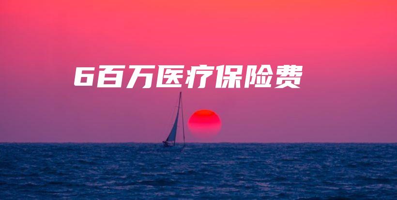6百万医疗保险费-保点通