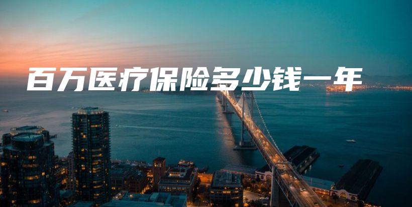 百万医疗保险多少钱一年-保点通