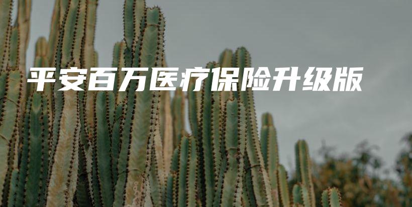 平安百万医疗保险升级版-保点通