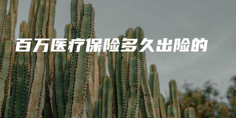 百万医疗保险多久出险的-保点通