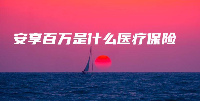 安享百万是什么医疗保险-保点通